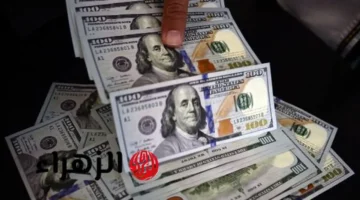 تحرك جديد بالبنوك.. سعر الدولار أمام الجنيه المصري في تعاملات اليوم الأربعاء